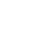 YSW Logo